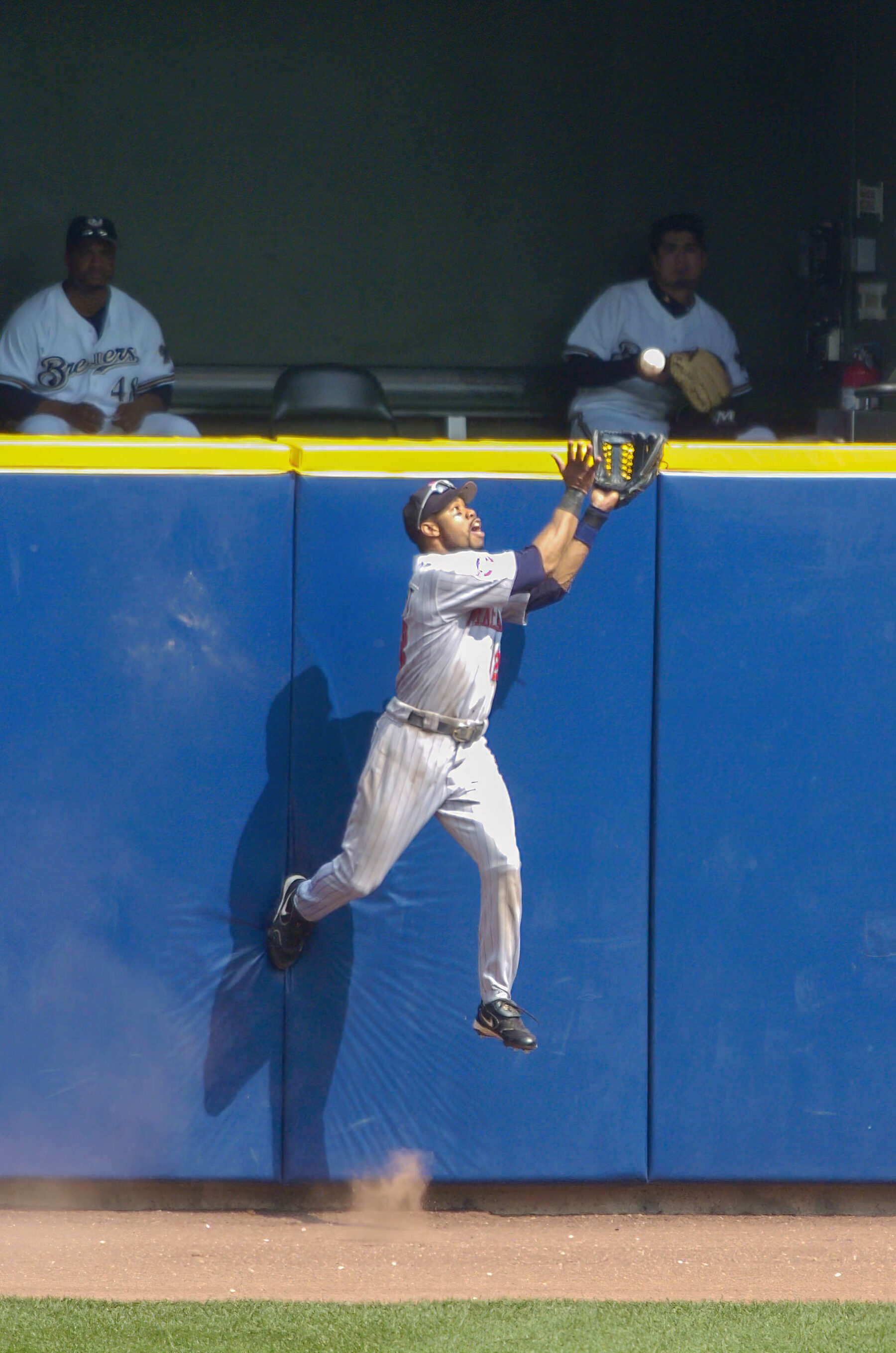 MLB player makes stunning outfield catch